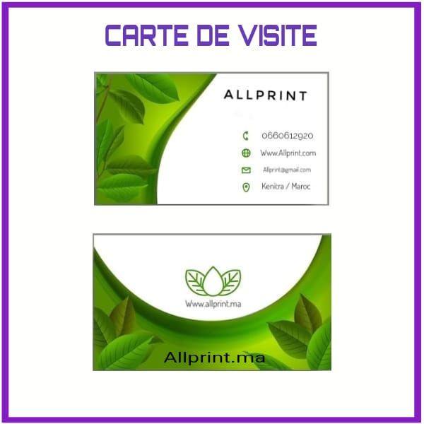 CARTE DE VISITE ÉCONOMIQUE